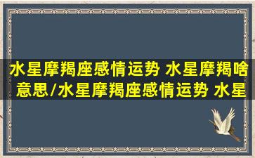 水星摩羯座感情运势 水星摩羯啥意思/水星摩羯座感情运势 水星摩羯啥意思-我的网站